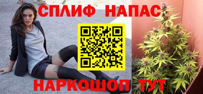 амф Новозыбков