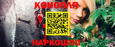 амф Новозыбков
