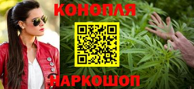 амф Новозыбков