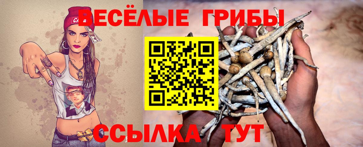 Псилоцибиновые грибы Psilocybe Электросталь